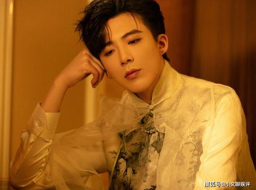 刘宇宁直播爆料最新消息视频,最新消息视频深度解析