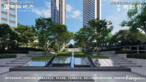 深圳吉星花园爆料最新消息,揭秘神秘事件真相揭晓  第3张